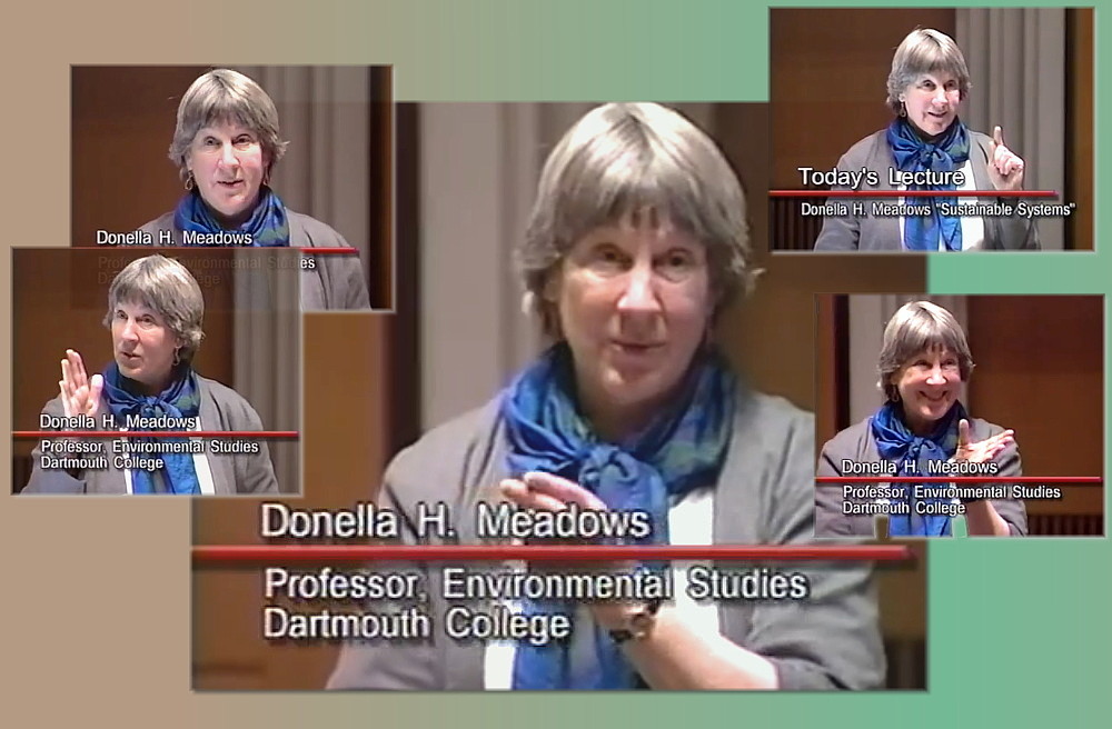 Clips of environmental economist Donella “Dana” Meadows taken from video of her presentation at the University of Michigan Ross School of Business