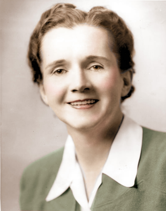 Marine biologist Rachel Carson