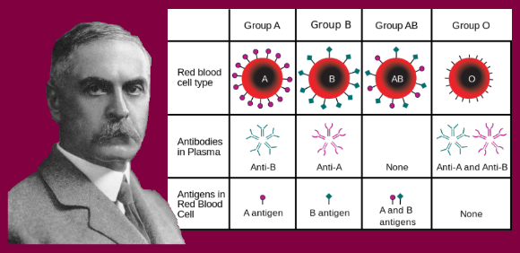 Nobel laureate, Dr. Karl Landsteiner, discoverer of human blood groups.