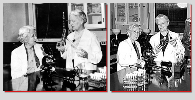 Microbiologist and bacteriologist Elizabeth Lee Hazen (left) and biochemist Rachel Fuller Brown [NY State Department of Health/Smithsonian Institution Archives]