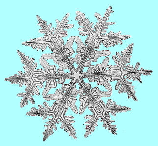 Image of a snowflake