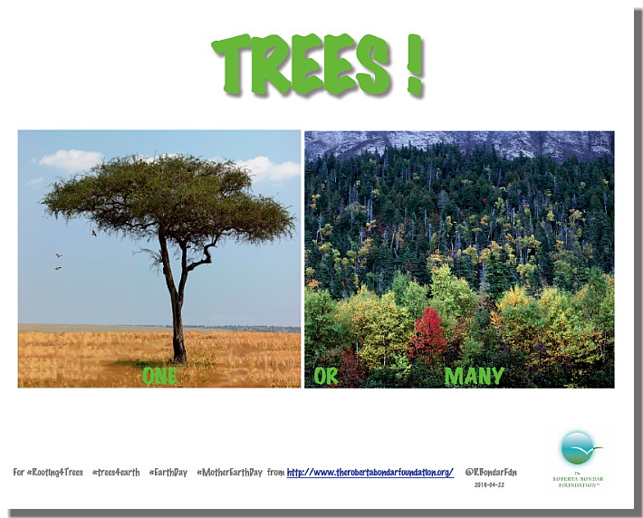 Graphic of trees