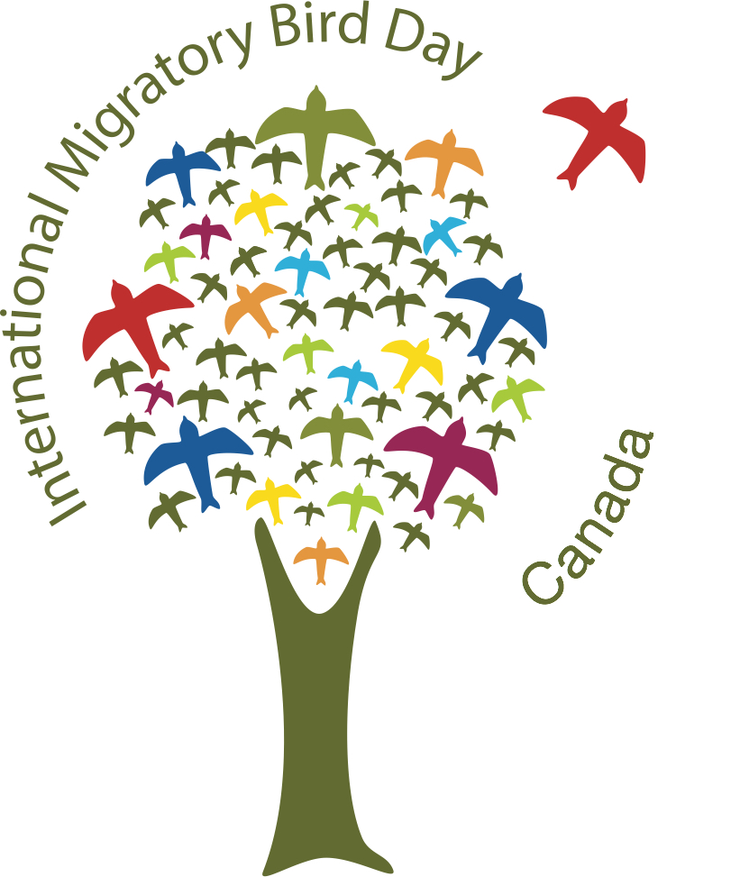 World Migratory Bird Day logo