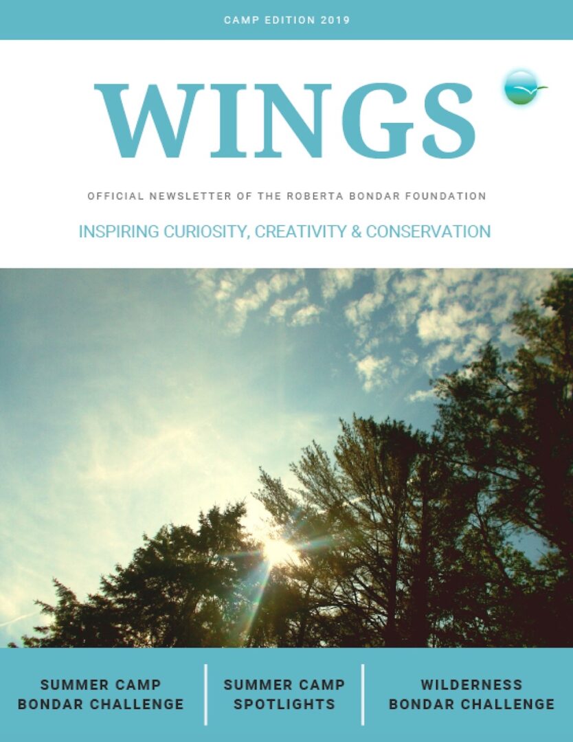 The 2019 Camp Edition of WINGS showing a photo of tree branches against a blue sky