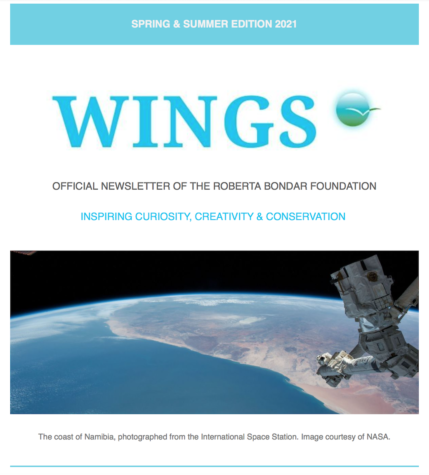 The Spring and Summer 2021 Edition of WINGS showing the WINGS logo and a photo of the coast of Nambia, photographed from the International Space Station.