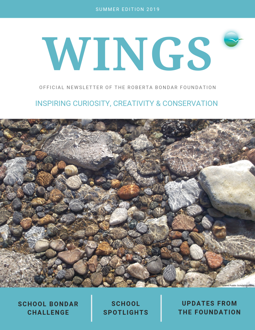 Summer 2019 Edition of WINGS showing a photo of pebbles in a stream