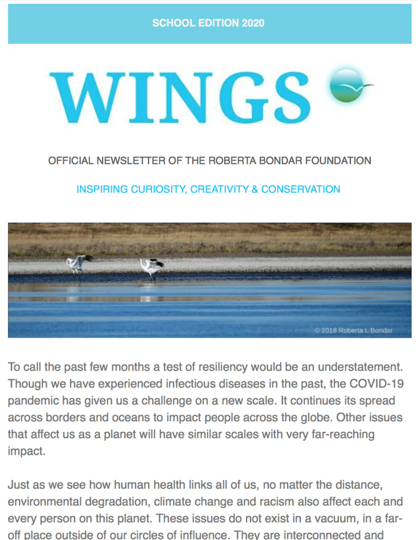 The 2020 School Edition of WINGS showing a photo of birds standing in water
