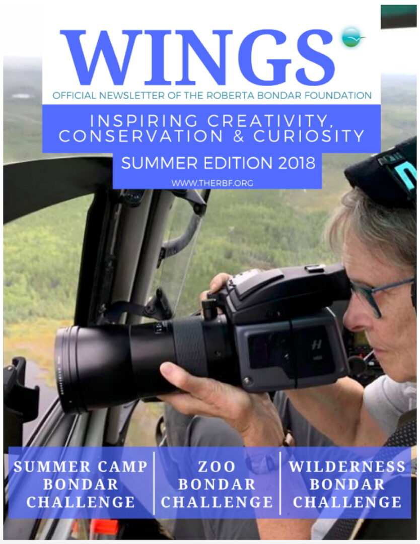 The Summer 2018 Edition of WINGS, showing a photo of Roberta Bondar photographing land from a helicopter