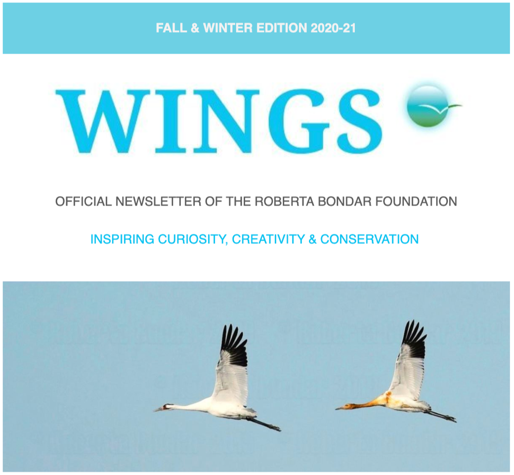 The Fall and Winter 2020 Edition of WINGS, with a photograph of birds flying in the sky.