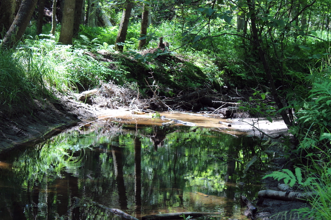 Runner-Up of Camp Tawingo: “Quiet Stream” by Alex Depew, Age 14.