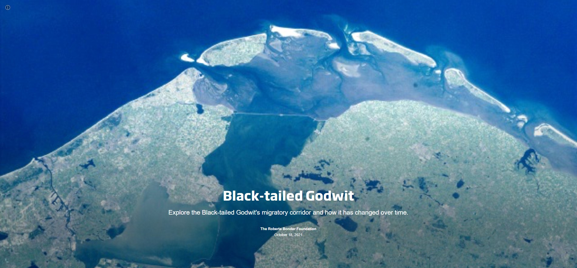Slide with the word Black-tailed Godwit and a space image of light blue land on the edge of dark blue ocean