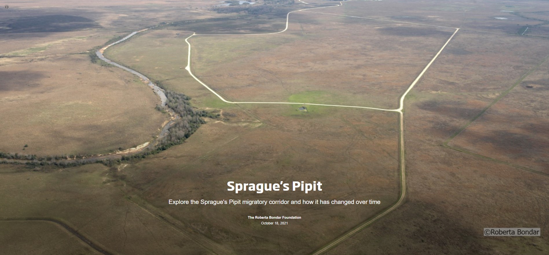 Slide with text Sprague's Pipit and an aerial photo of grasslands with roads cutting through