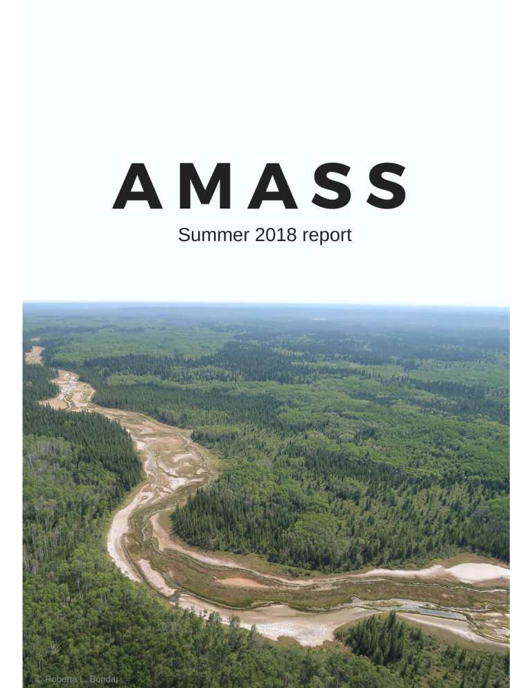 Cover with image of brown river in green forest with the text AMASS