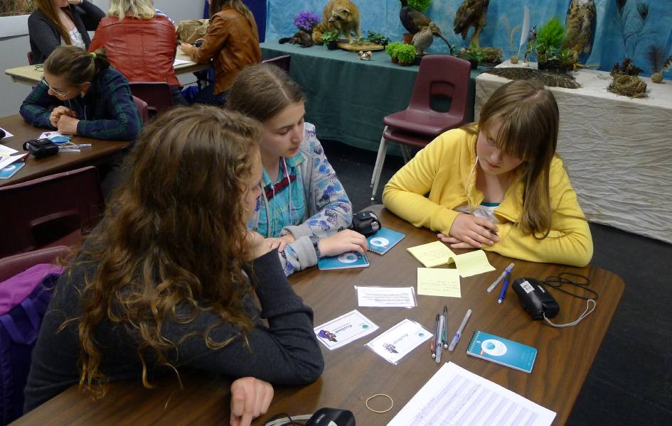 participants using EcoSeek cards