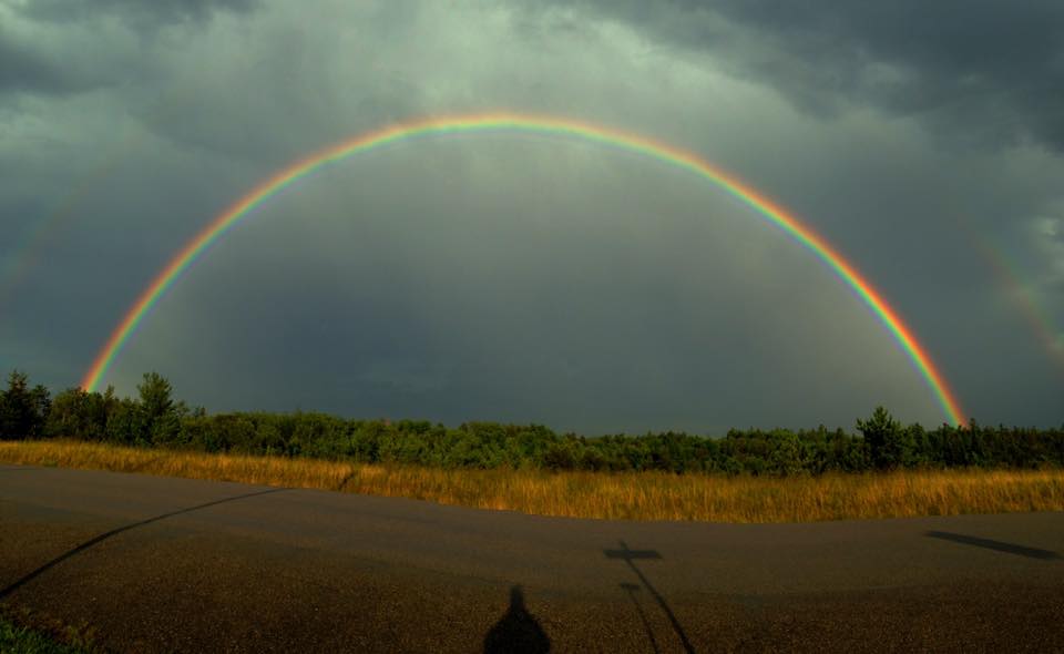 Image of rainbow over road and forest