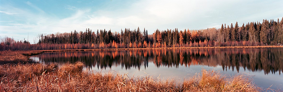 Image of autumn forest reflected on water