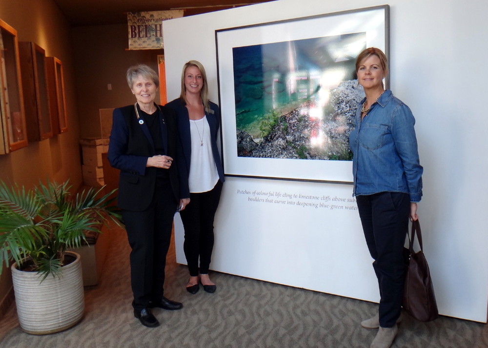Dr Bondar, Nicole Cooke, Lake Huron Shoreline, and gallery guest