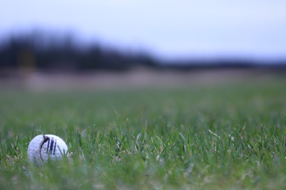 Image of a golf ball in the grass taken from a low angle