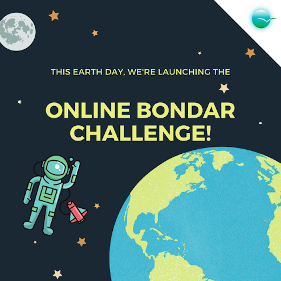 Online Bondar Challenge poster
