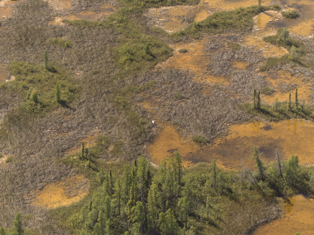 Image of boreal wetlands from air