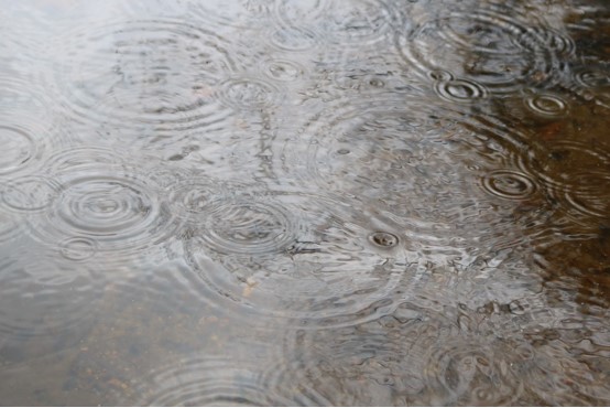 Image of raindrops on a pond