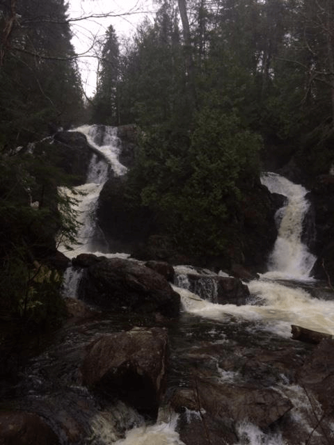 Image of waterfalls in forest