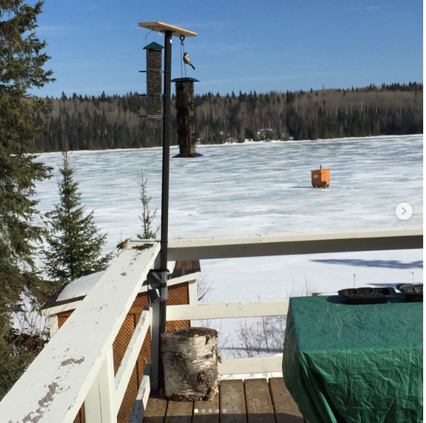 Image of birds at a feeder on a porch overlooking a frozen lake