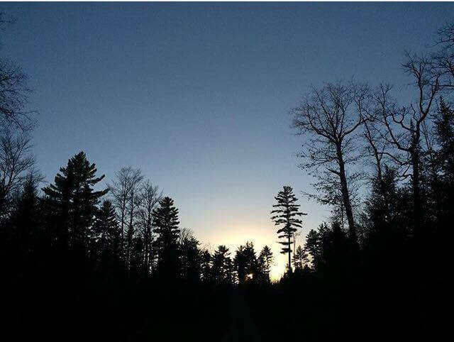 Image of sunrise over treeline