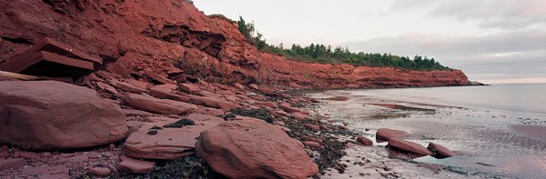 Image of Atlantic Red Cliff