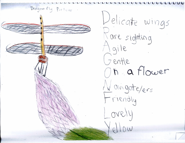 Childs drawing of a dragonfly