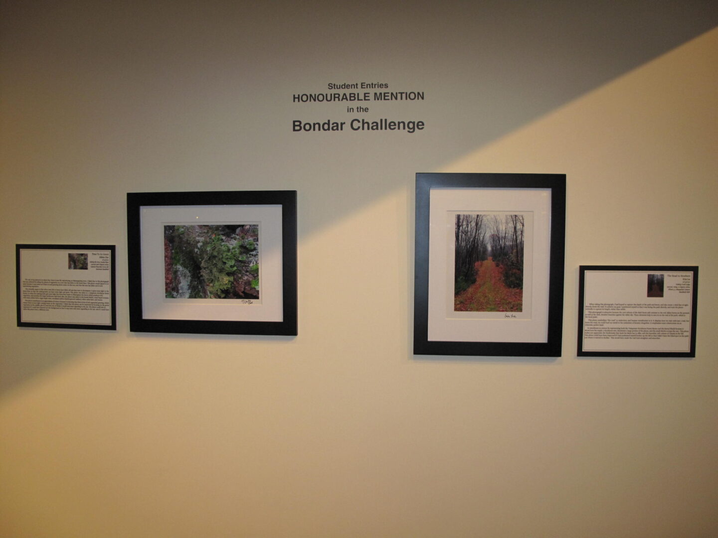 Image of Bondar Challenge winning photos in a gallery