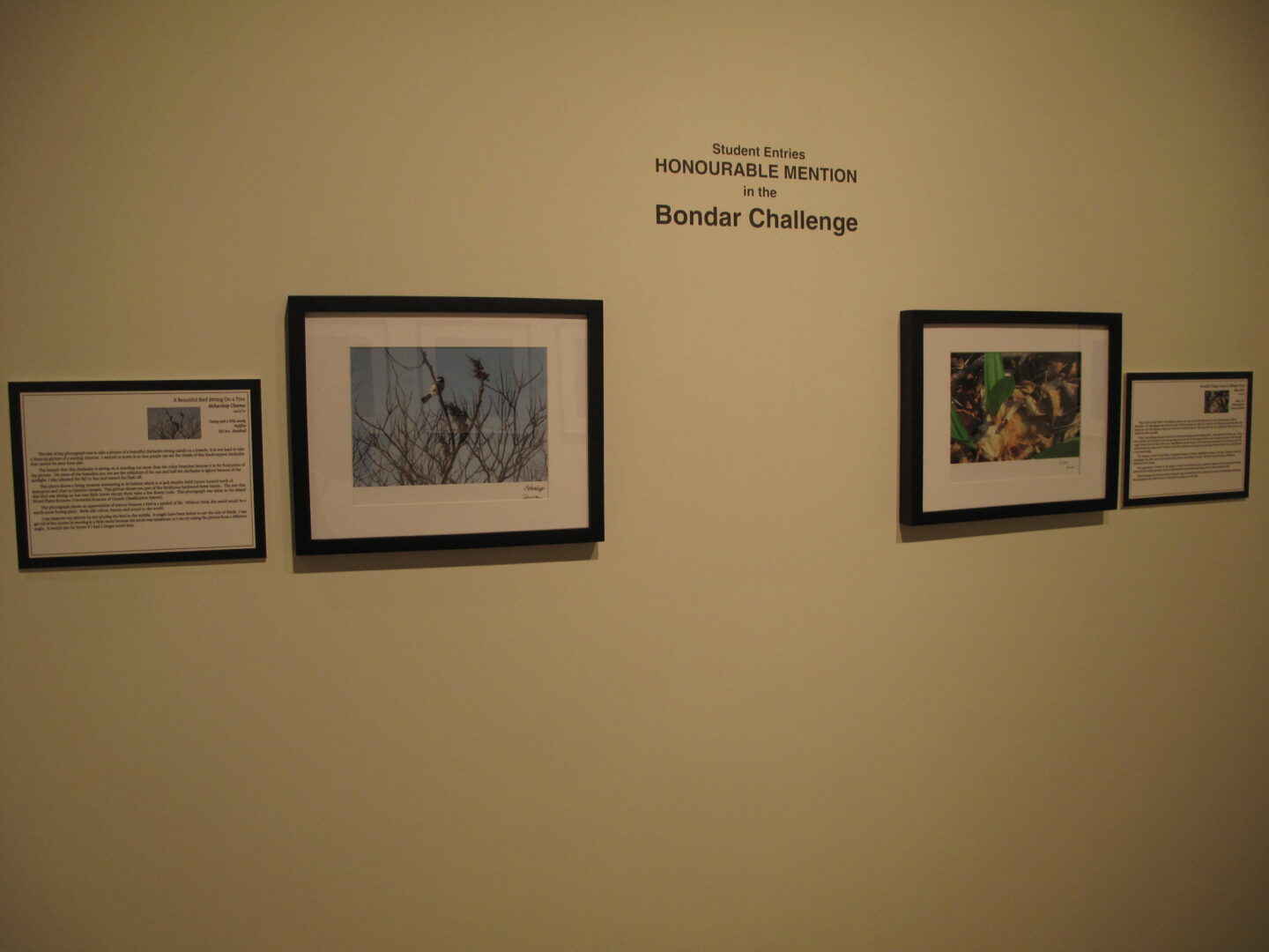 Image of Bondar Challenge winning photos in a gallery