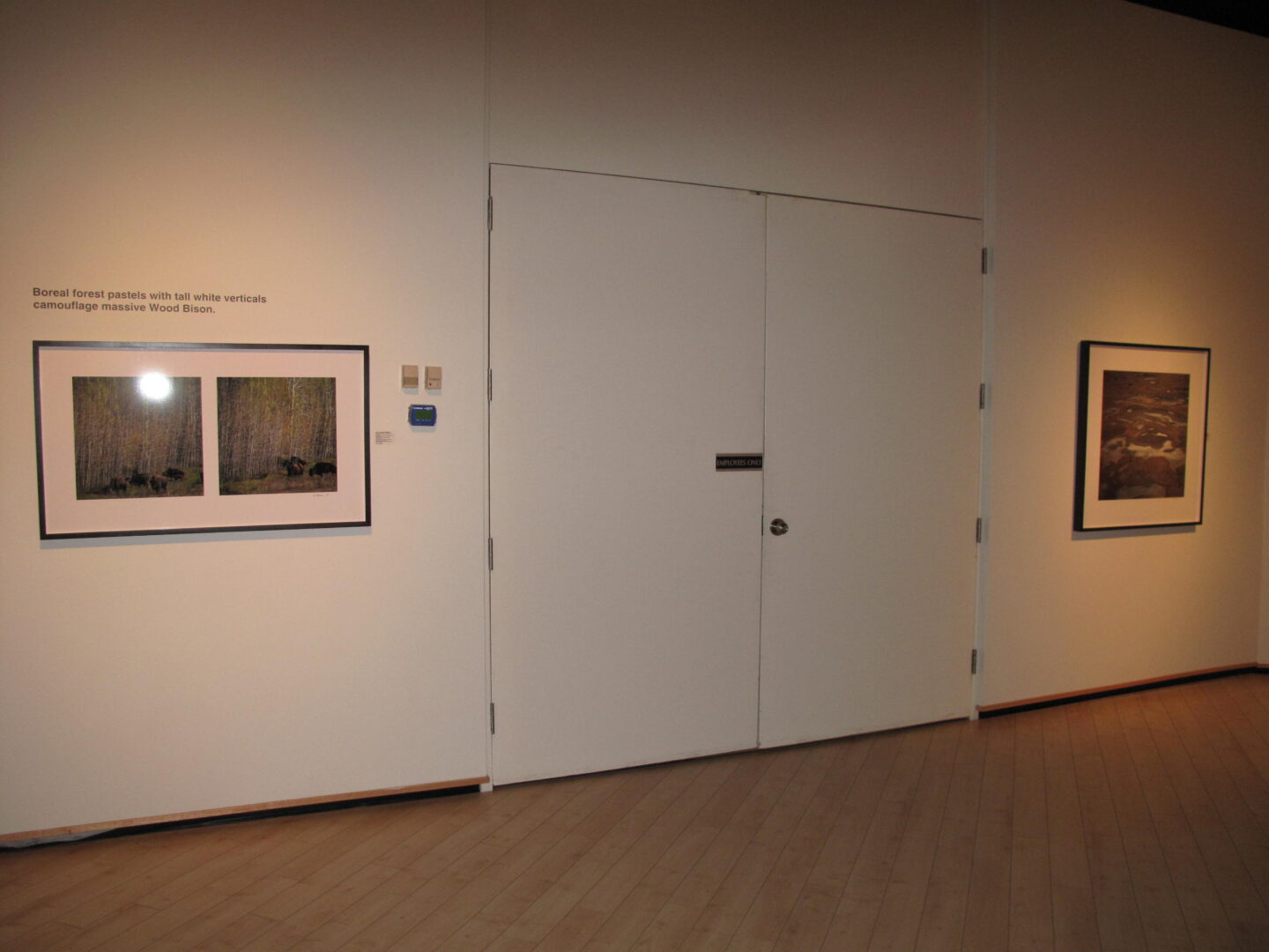 Image of TELE in a gallery