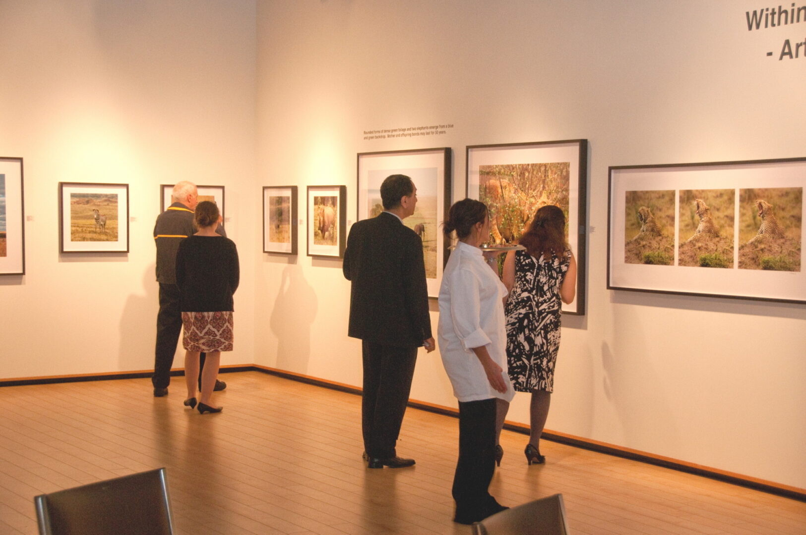 Gallery patrons at The Roberta Bondar Foundation's second Traveling Exhibition and Learning Experience, Art Gallery of Algoma
