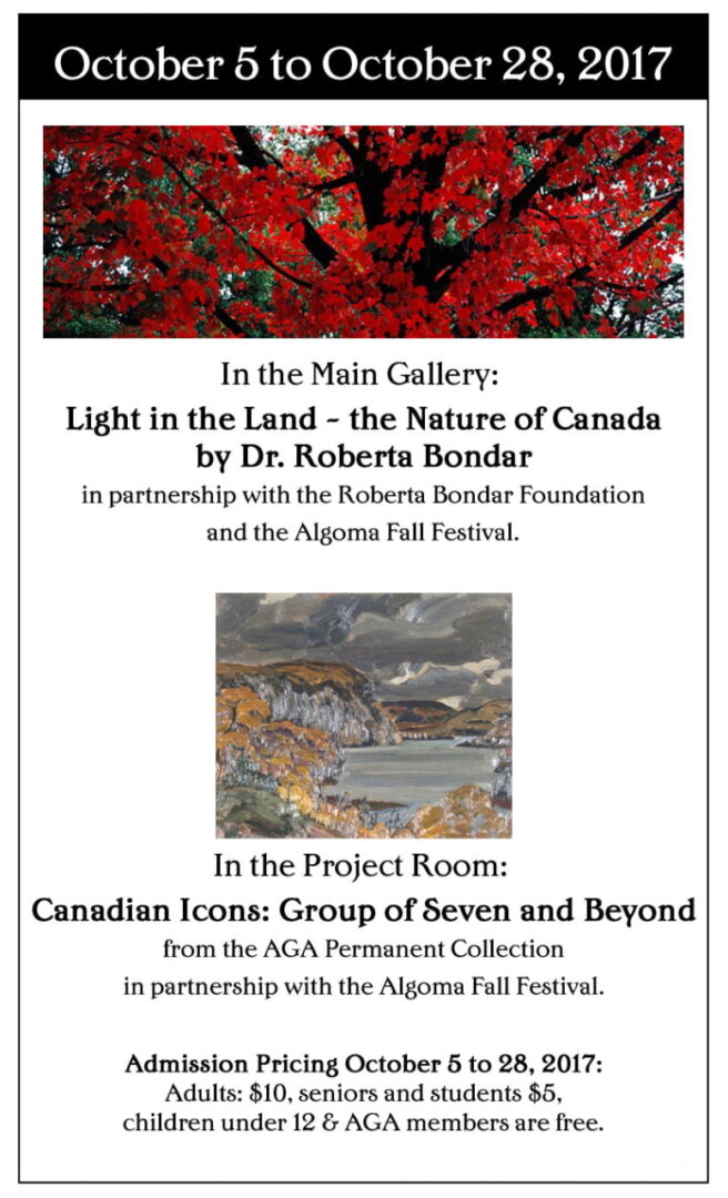 Poster for Light in the Land