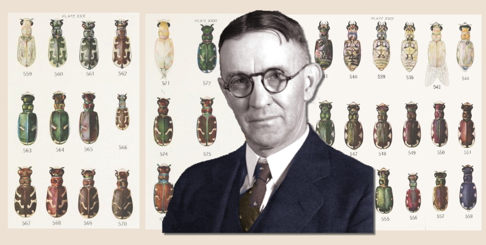 man in front of illustrations of beetles